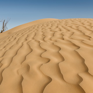 Sanddune